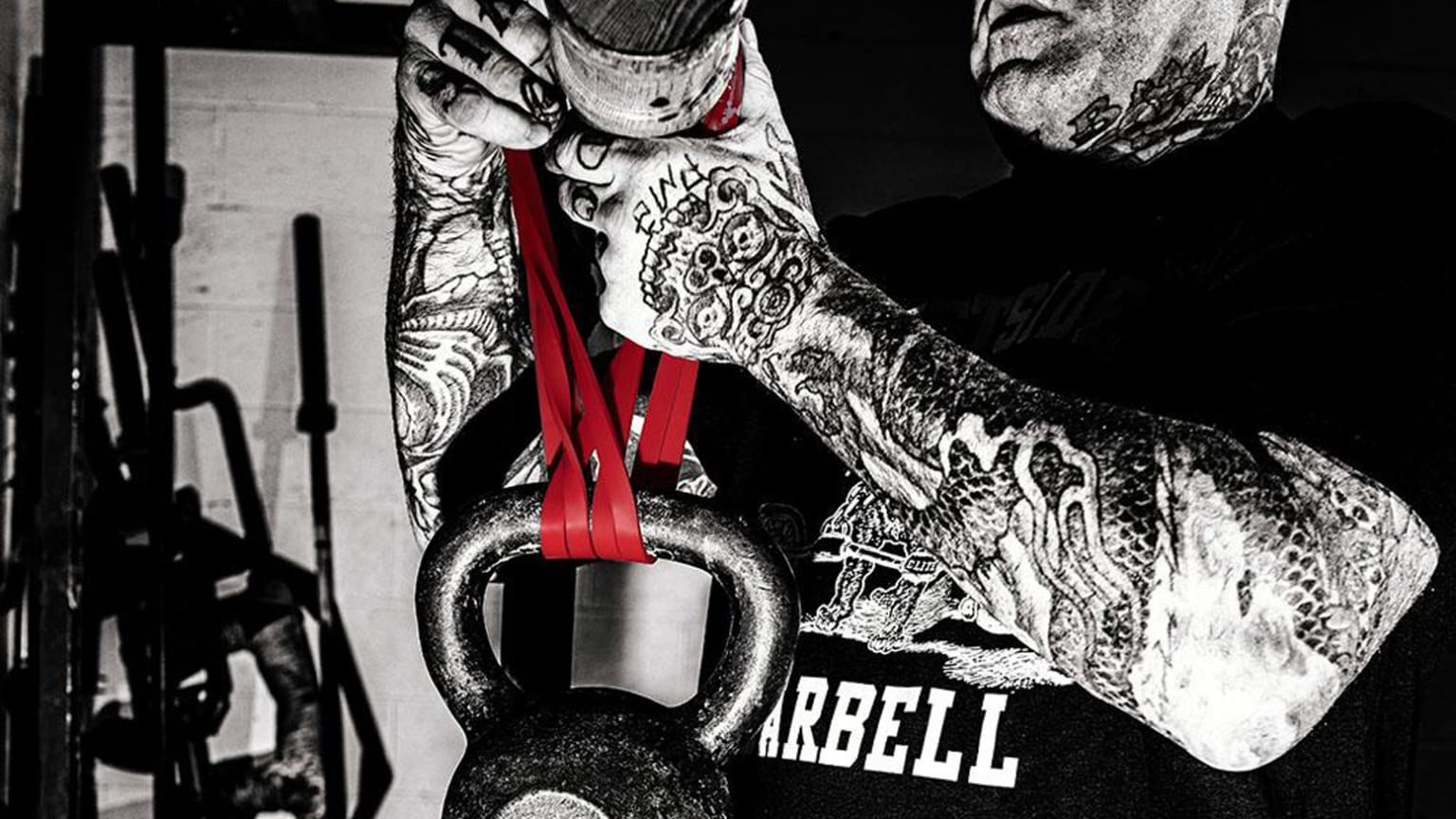 Westside barbell resistance bands new arrivals